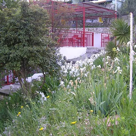 Curin Guest house 3*